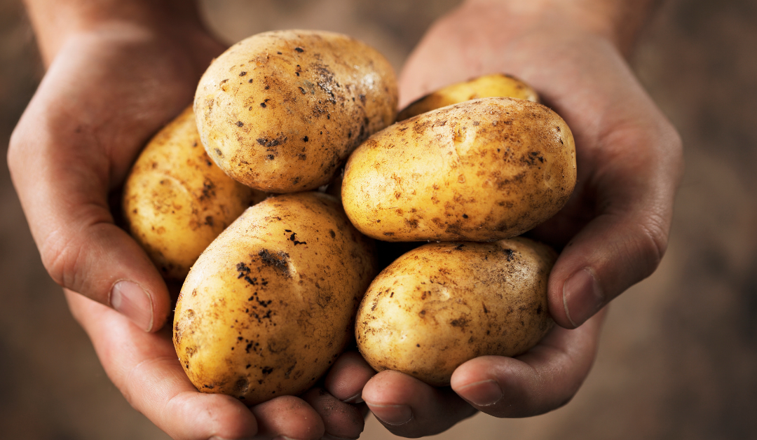 U.S. Potato Export Agreement Must Be Honored, Expedited Write Bipartisan Leaders