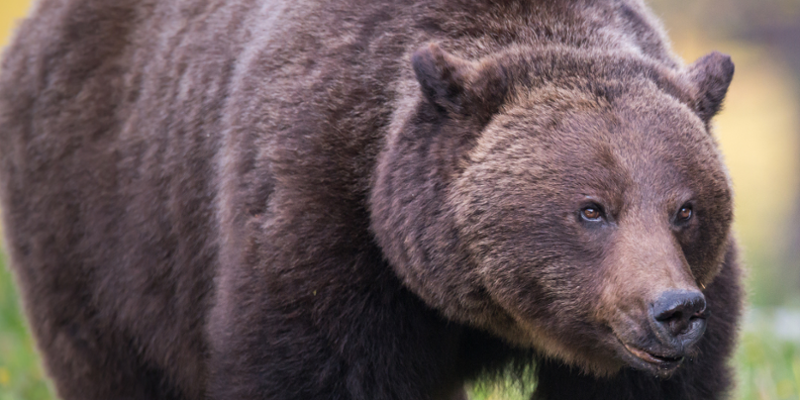 /?a=Files.Serve&file_id=3348BF05-6476-40C3-8C83-7159580B1042